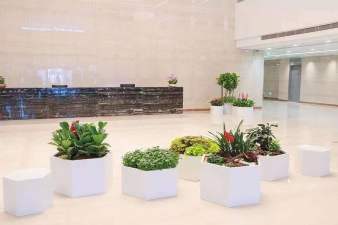 成都廠區(qū)綠化養(yǎng)護(hù) 企業(yè)單位綠植租賃,植物盆栽租擺,苗木出售