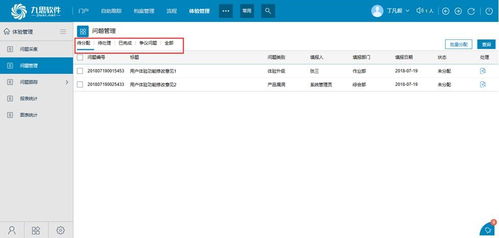 客戶體驗(yàn)管理系統(tǒng) OA辦公自動化系統(tǒng)高端品牌 九思軟件